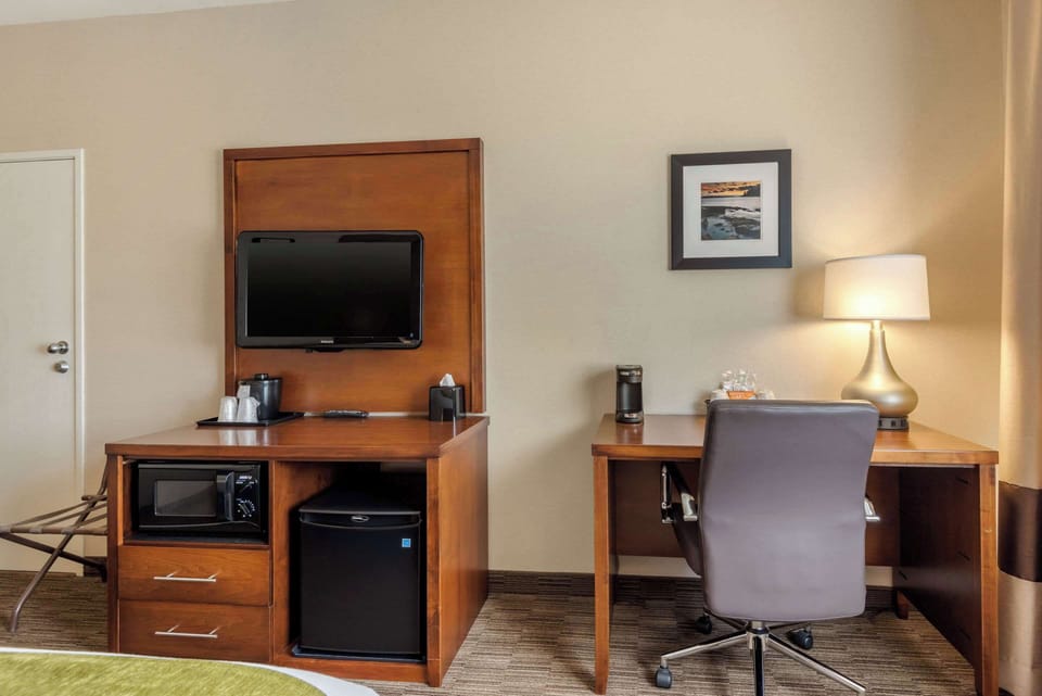 Standard Room, 1 King Bed, Accessible, Non Smoking | In-room safe, individually decorated, individually furnished