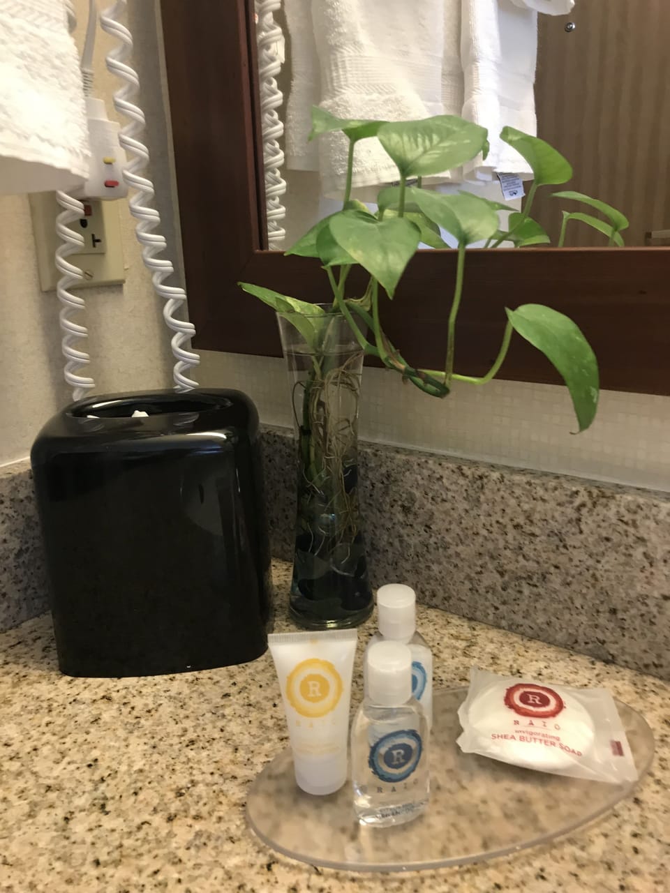 Standard Room, 2 Queen Beds, Non Smoking | Bathroom | Combined shower/tub, eco-friendly toiletries, hair dryer, towels