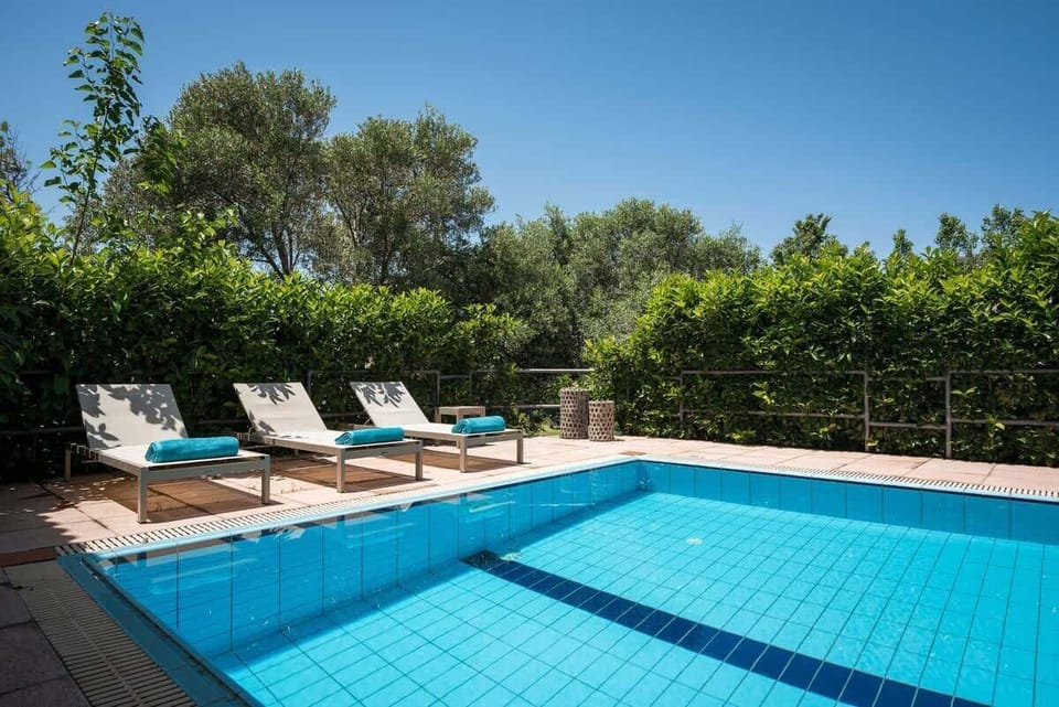 Pristine Pool Oasis Amid Vibrant Garden Views