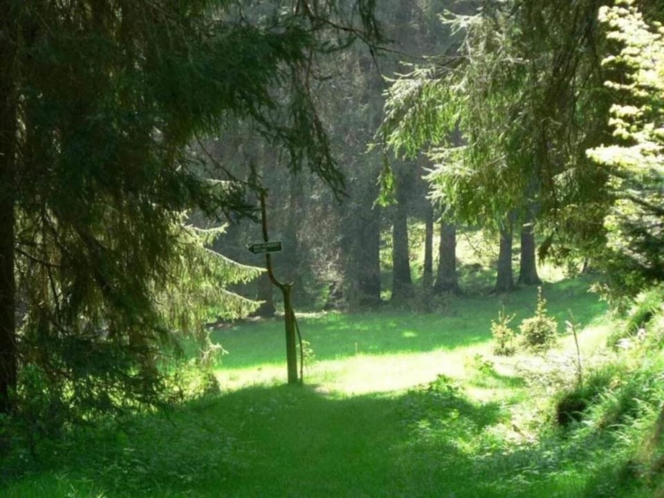 Surroundings [summer] (1-5 km)