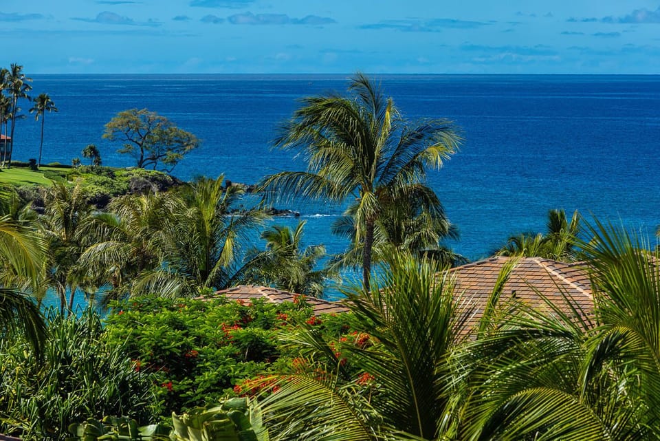 Views from your lanai