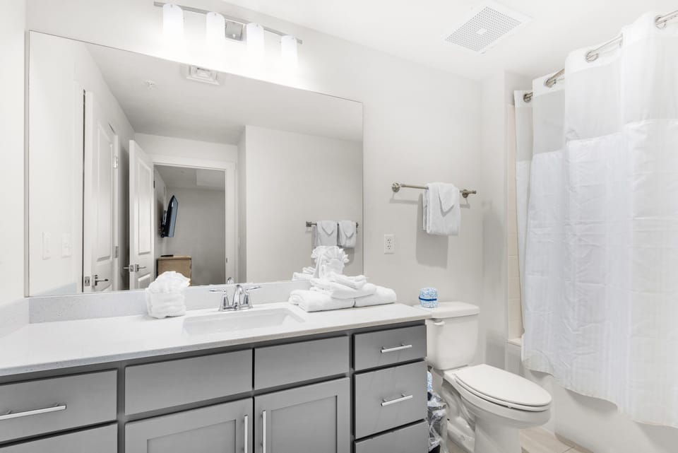 Guest bathroom