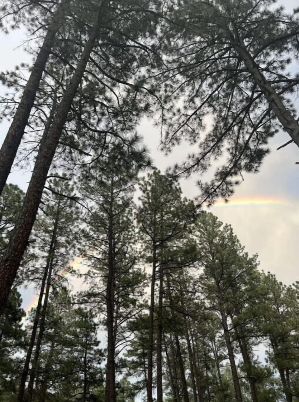 Beautiful mountain view