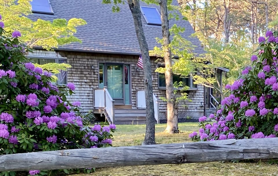 Spring view