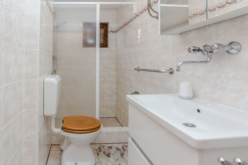 Economy Apartment | Bathroom | Shower, hair dryer, towels