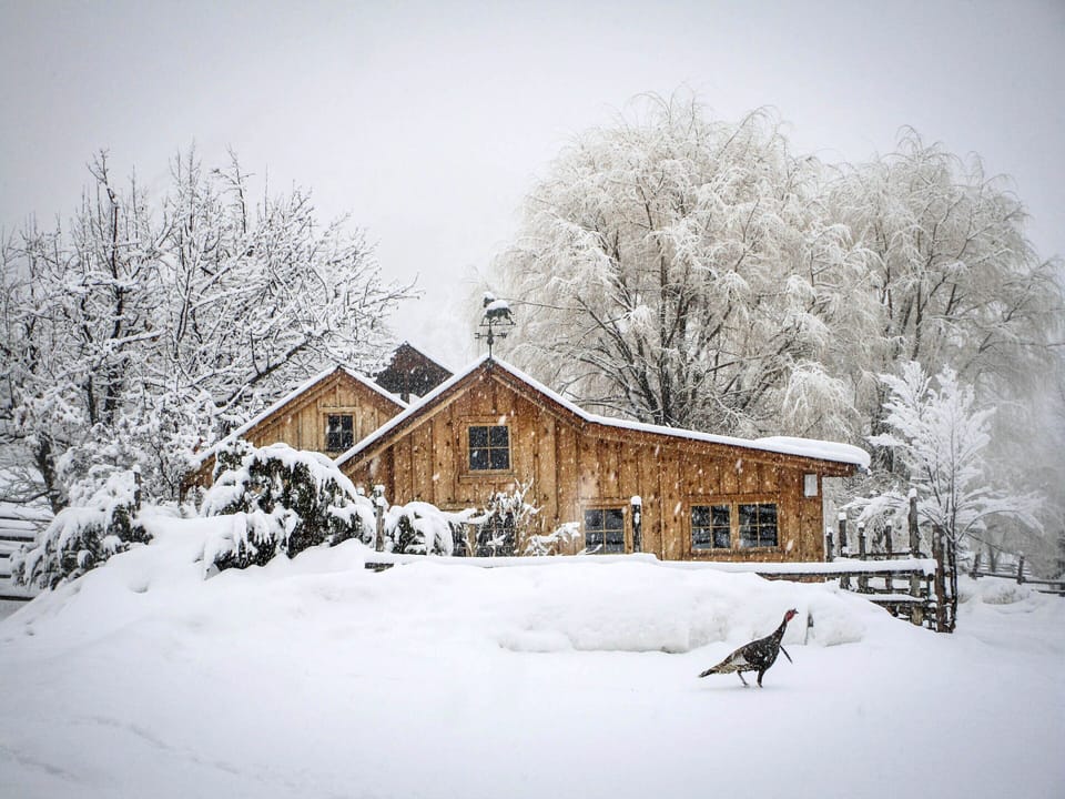 Bunkhouse Winter