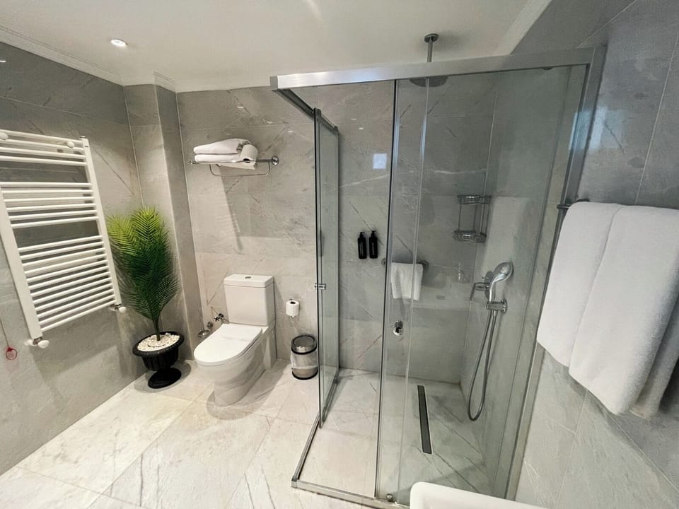 Royal Room | Bathroom | Shower, hydromassage showerhead, free toiletries, hair dryer