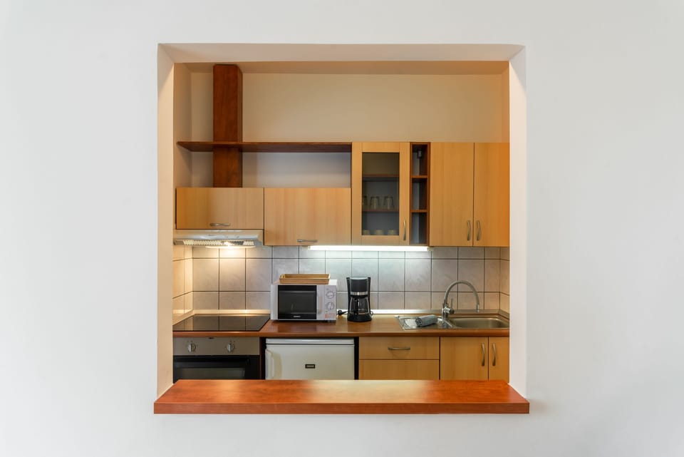 Premium Studio | Private kitchen | Fridge, microwave, oven, stovetop