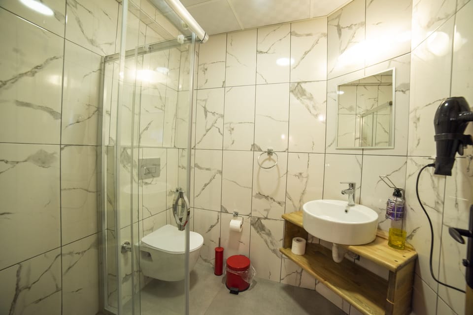 Standard Double Room | Bathroom | Shower, free toiletries, hair dryer, slippers