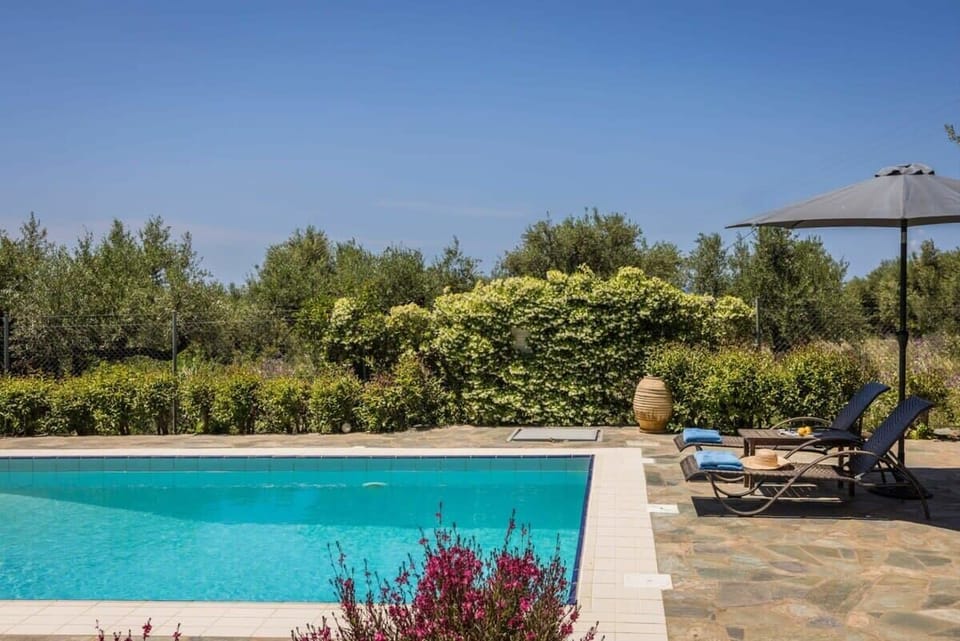Relax by the pool