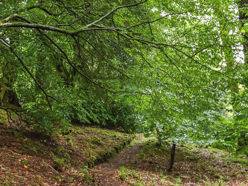 Surrounding area | Needle House, Ravenstonedale, near Kirby Stephen