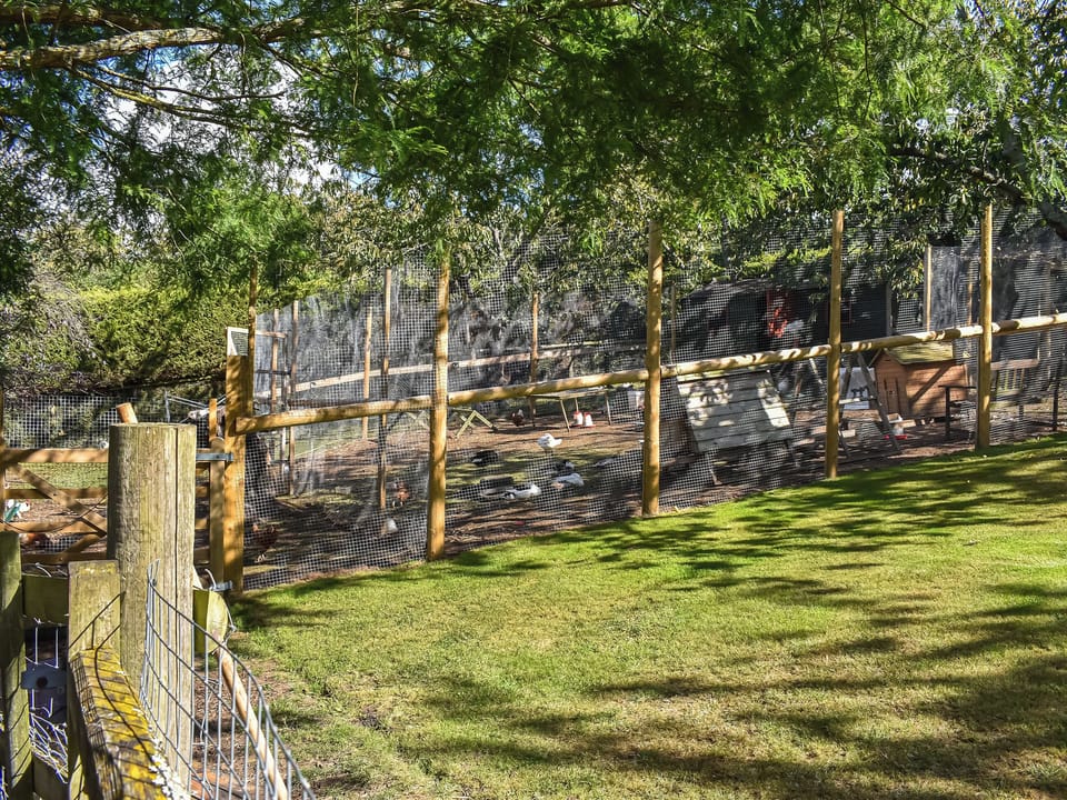 Outdoor area | Lekido, Faversham