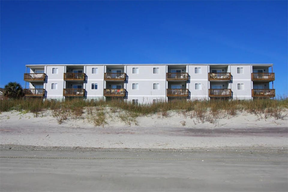 Take an early morning walk on the beach and search for seashells.