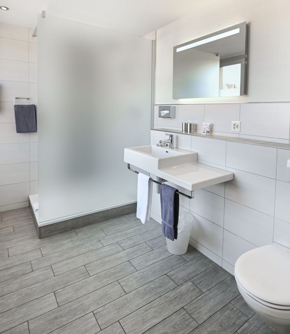 Standard Double Room | Bathroom | Hair dryer, towels