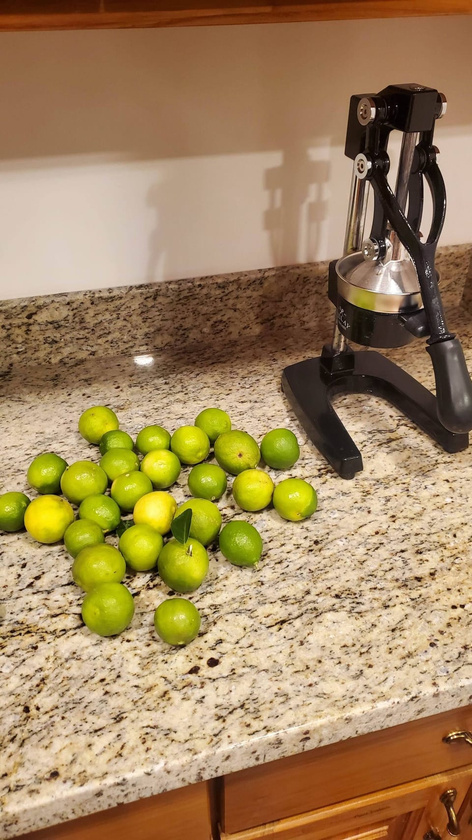 Pick your own fresh fruits