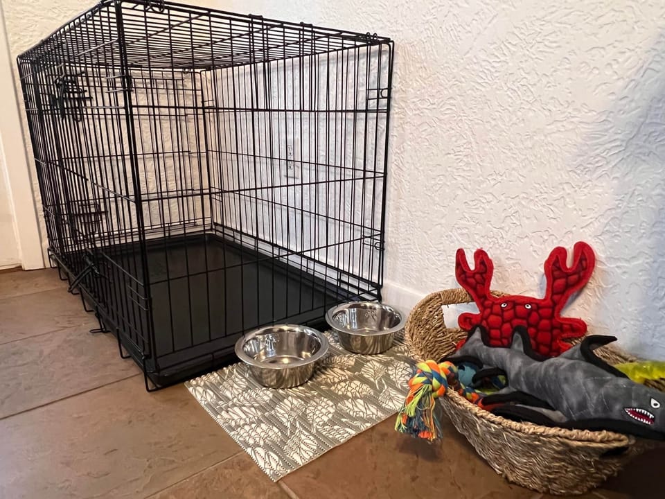 Our dog area is ready and set up for each guest upon arrival.