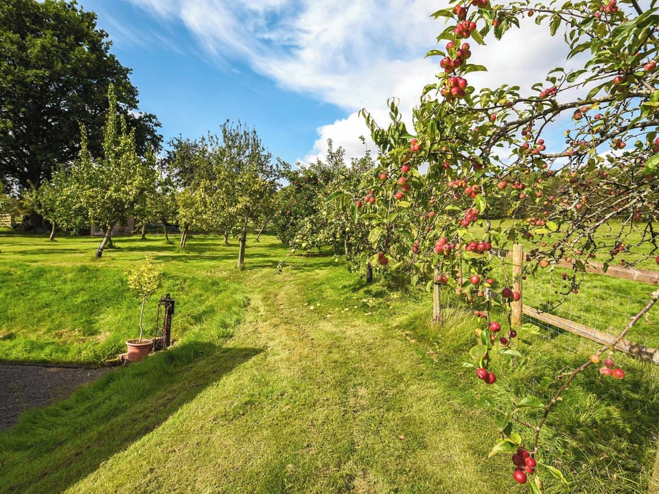 Garden | The Old Barn, Church Stretton