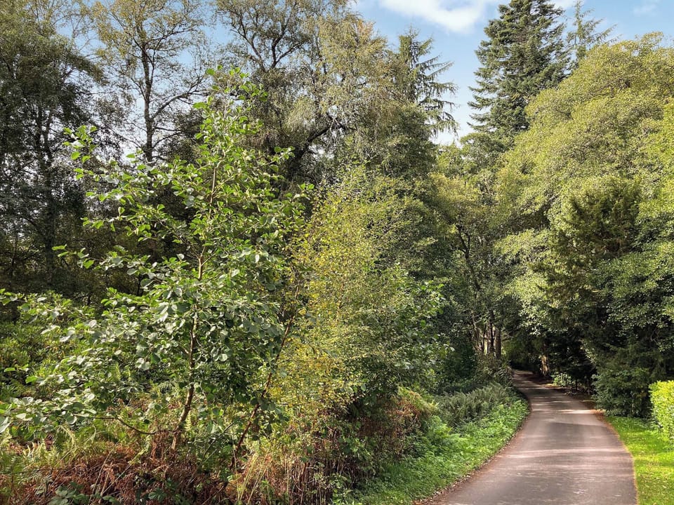 Surrounding area | South Lodge, Banchory