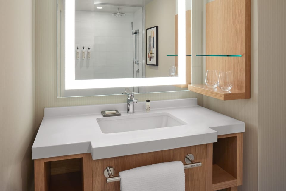 Combined shower/tub, free toiletries, hair dryer, towels