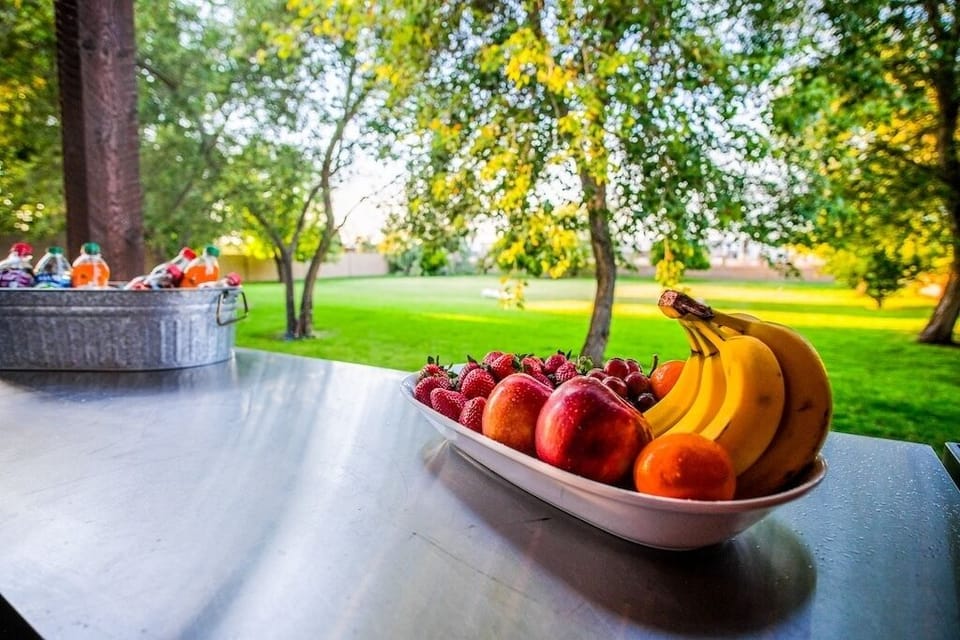 Fruit Trees for Picking Lemons and Oranges in Meadow