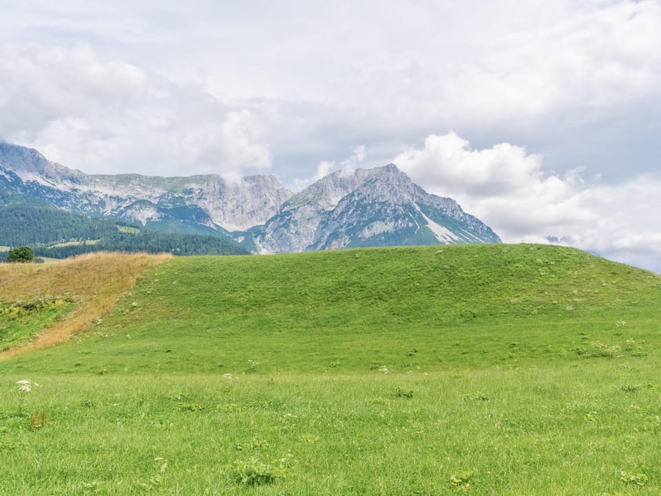Immediate Surroundings [summer] (<1 km)