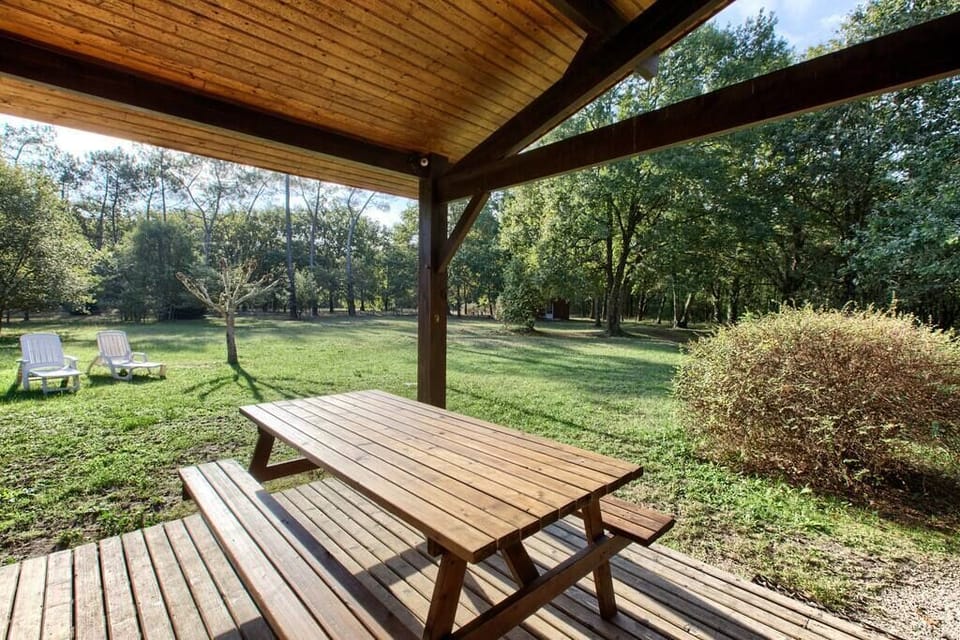 Terrace and forest view