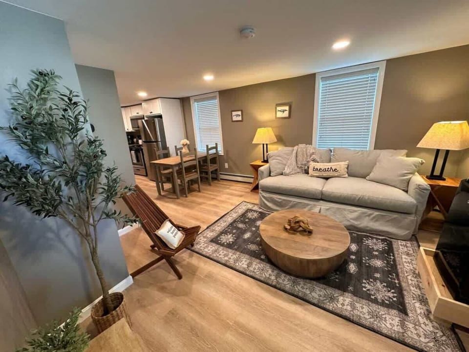 Living Room Area
