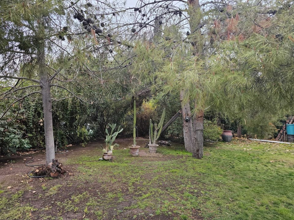 House | Garden view