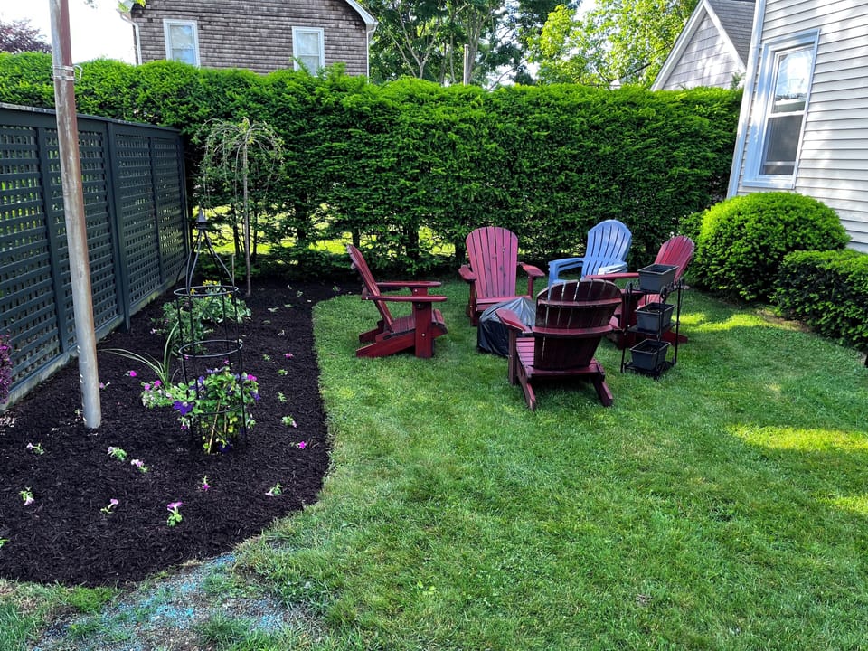 Fire pit and back yard 