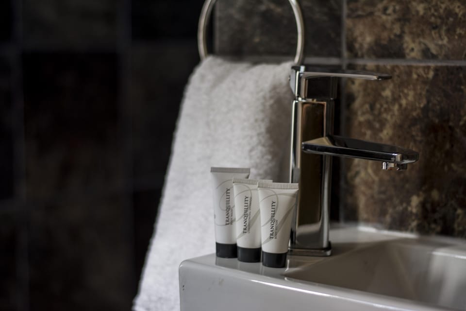 Executive Double or Twin Room | Bathroom | Separate tub and shower, rainfall showerhead, free toiletries, bathrobes
