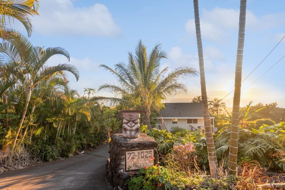 Palm Tree, Tree, Vegetation, House, Outdoors