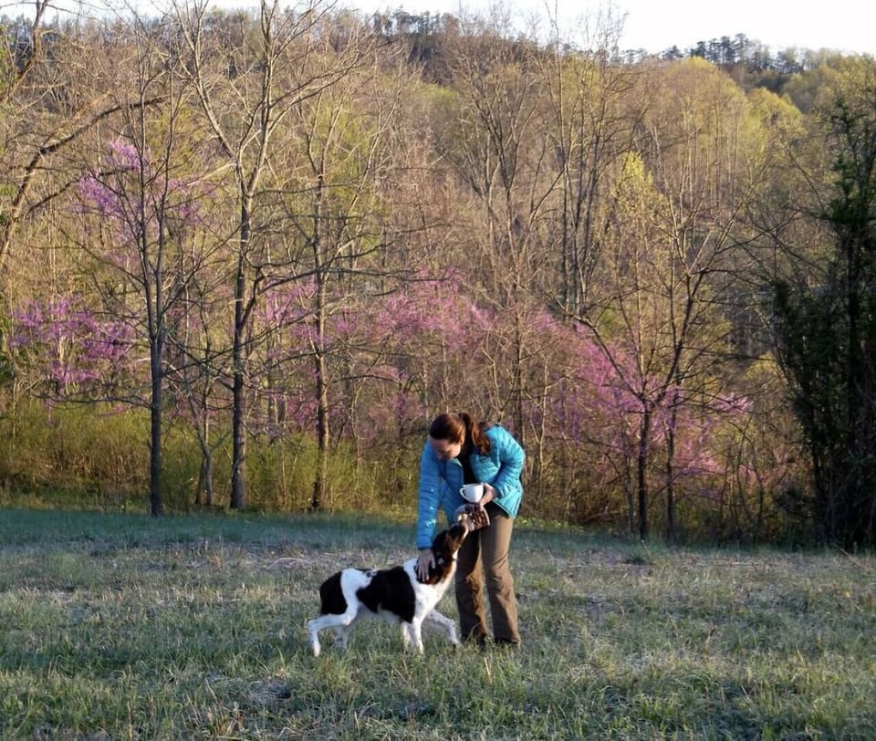 Pet-friendly