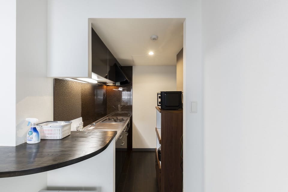 Full-size fridge, microwave, stovetop, toaster