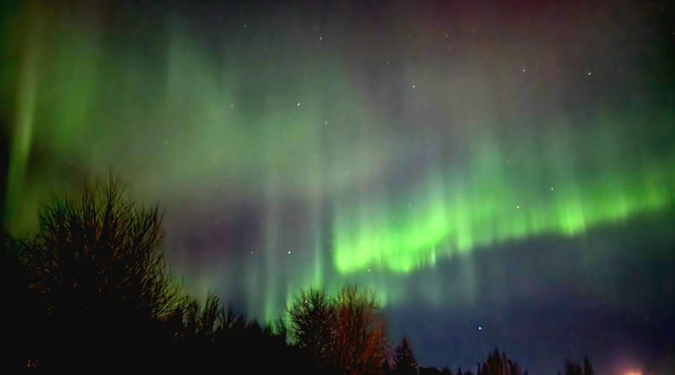 Aurora Borealis from front yard