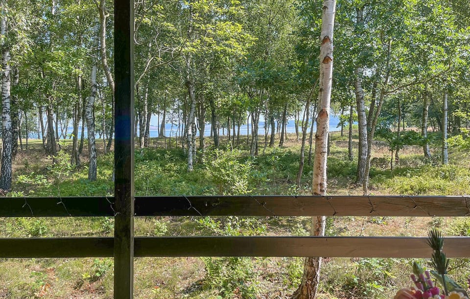 view-from-room