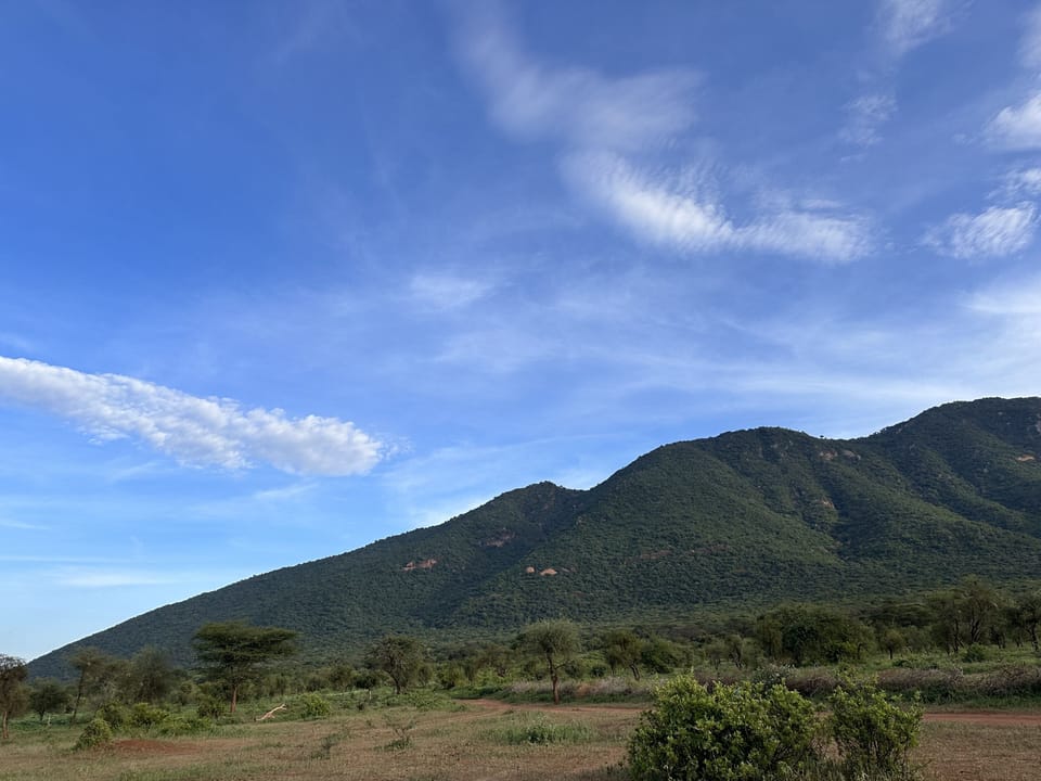Hiking