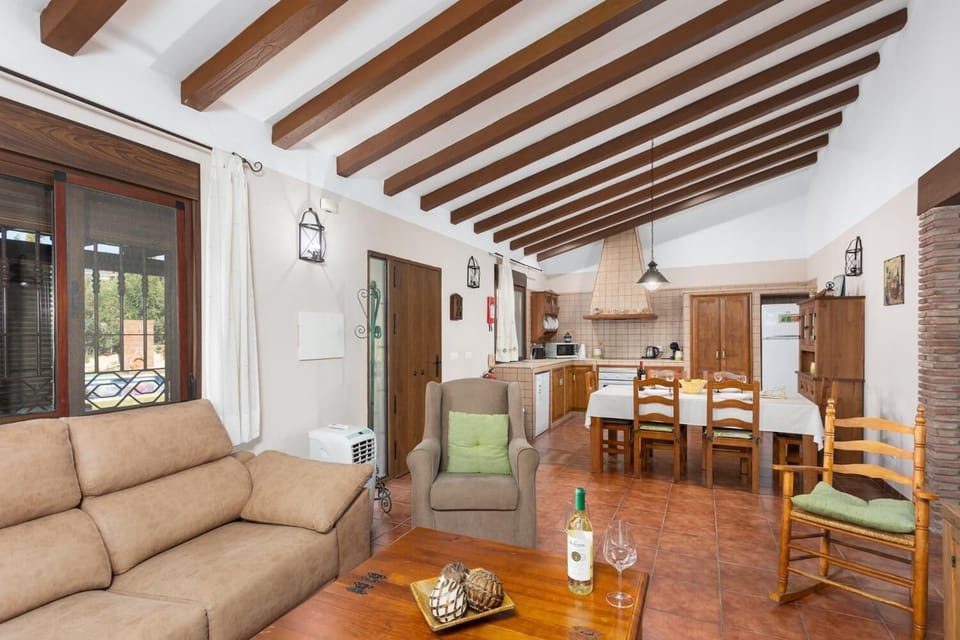 Open-plan living room with sofa, dining area, kitchen, ornamental fireplace, WiFi internet, and satellite TV