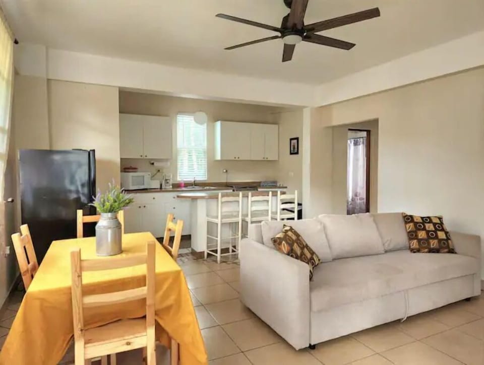Unit A: Common area with kitchen, dining area, sleeping sofa and TV