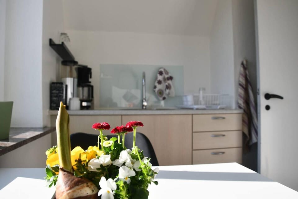 Apartment | Interior