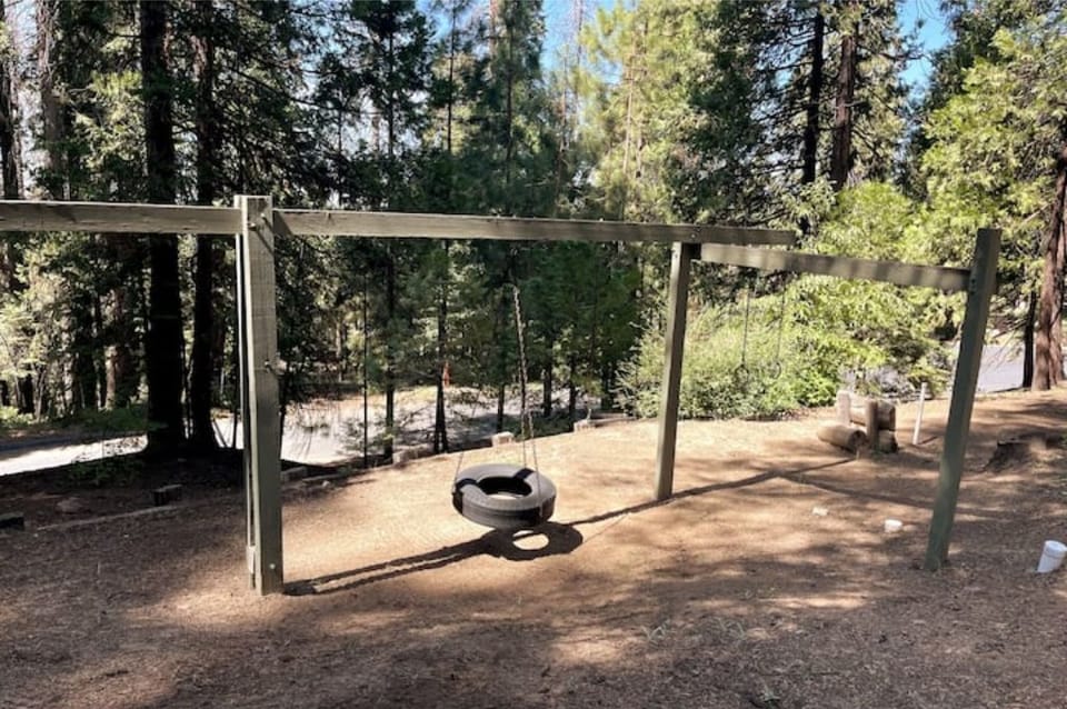 Playground set with swings and horseshoe pit.
