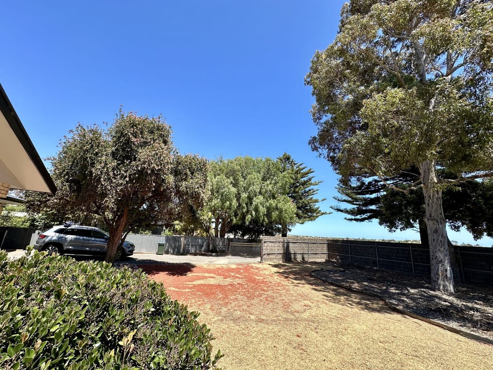 Front Yard