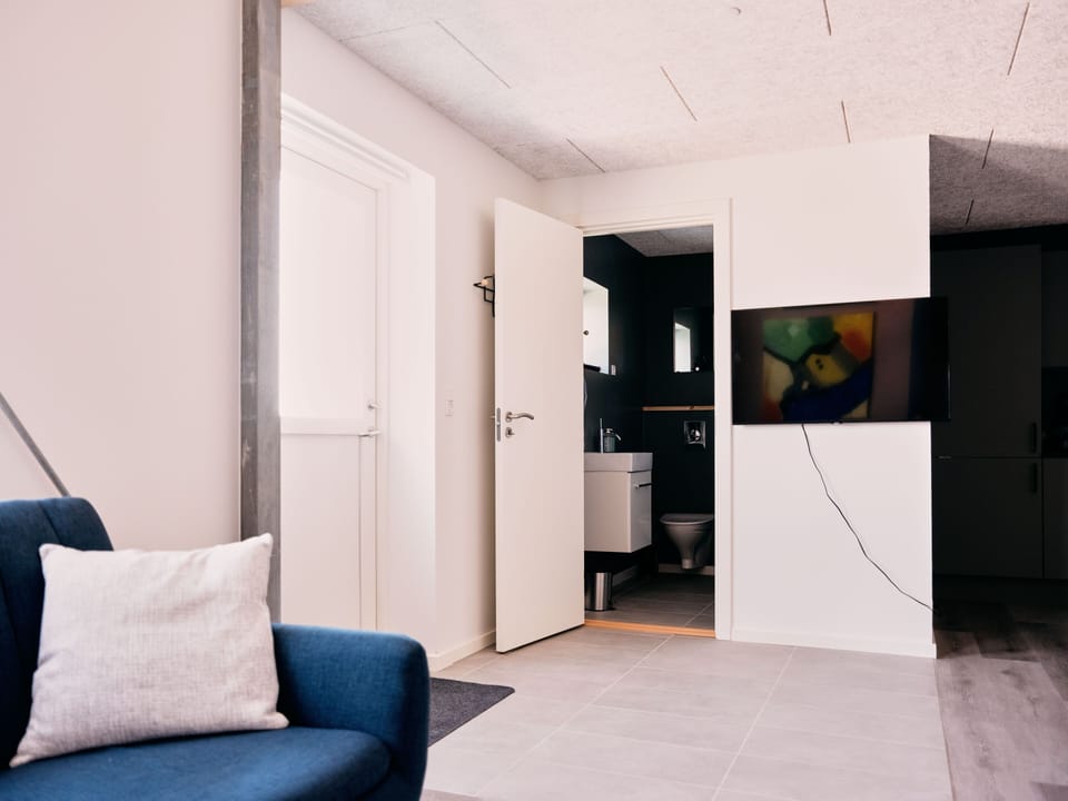 Standard Studio | Television