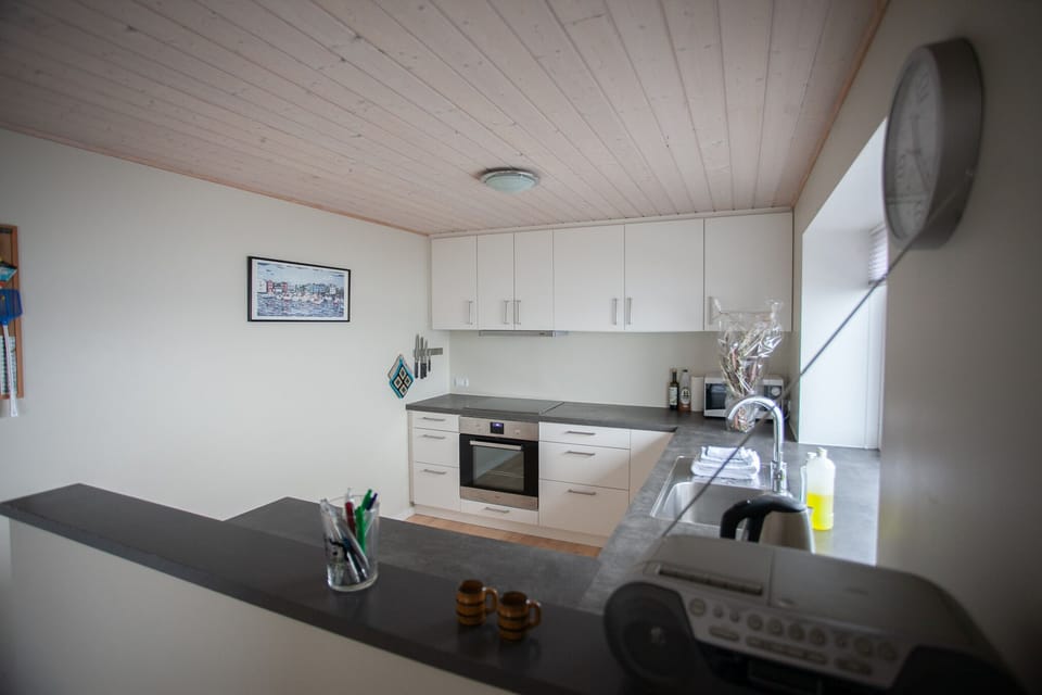 Standard Apartment | Private kitchen | Coffee/tea maker, full-size fridge, microwave, oven