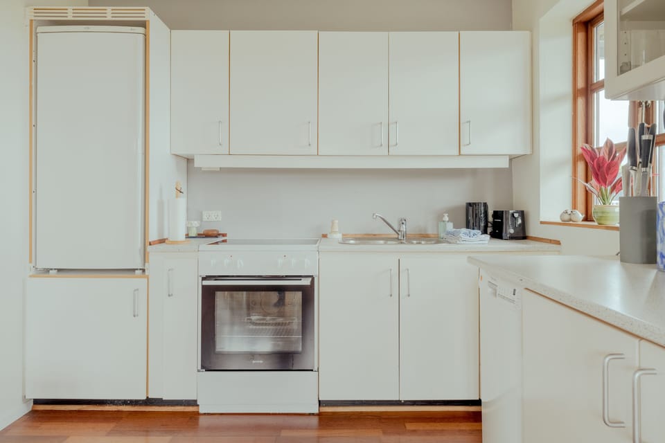 Apartment | Private kitchen | Coffee/tea maker, full-size fridge, oven, stovetop