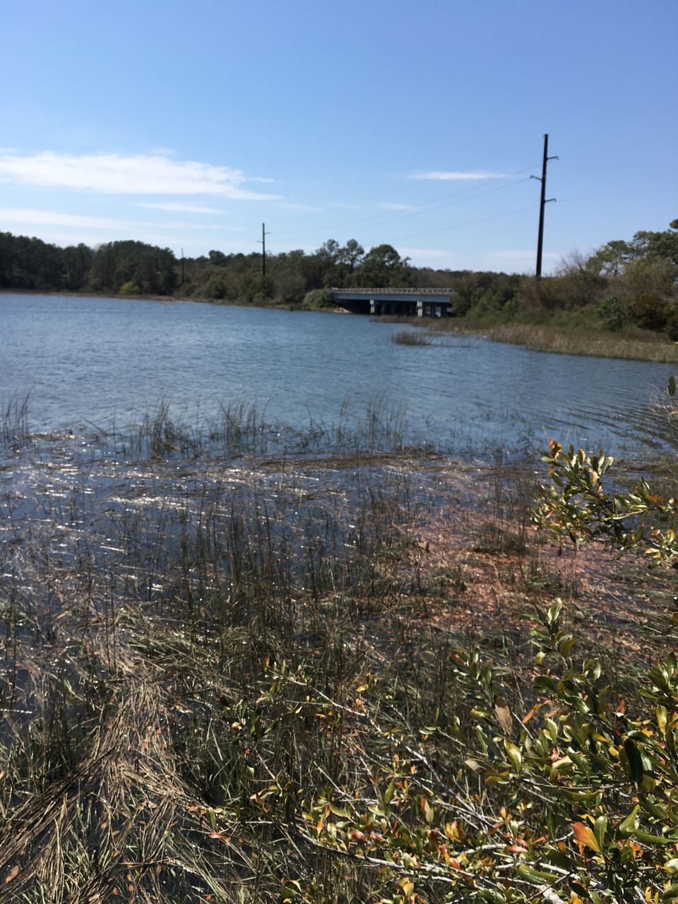 View of bridge leading to Wadmalaw Island- home of the Gullah language