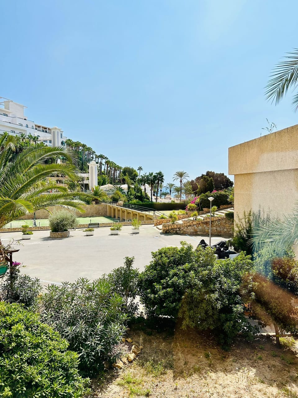 Garden view