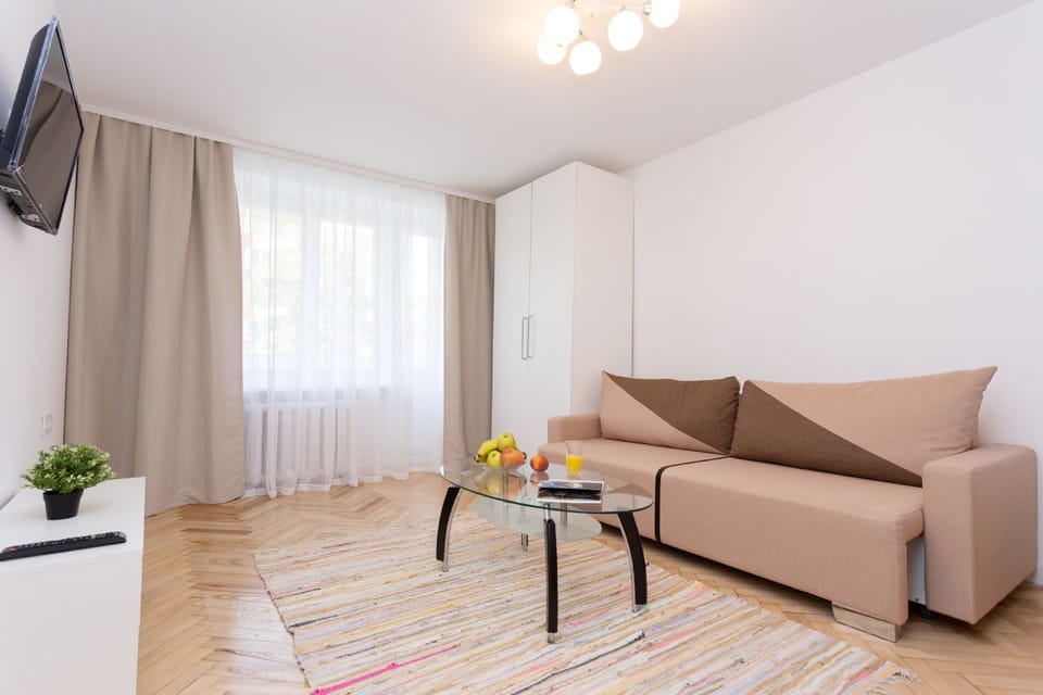 Basic Apartment | Living area | 42-inch flat-screen TV with cable channels