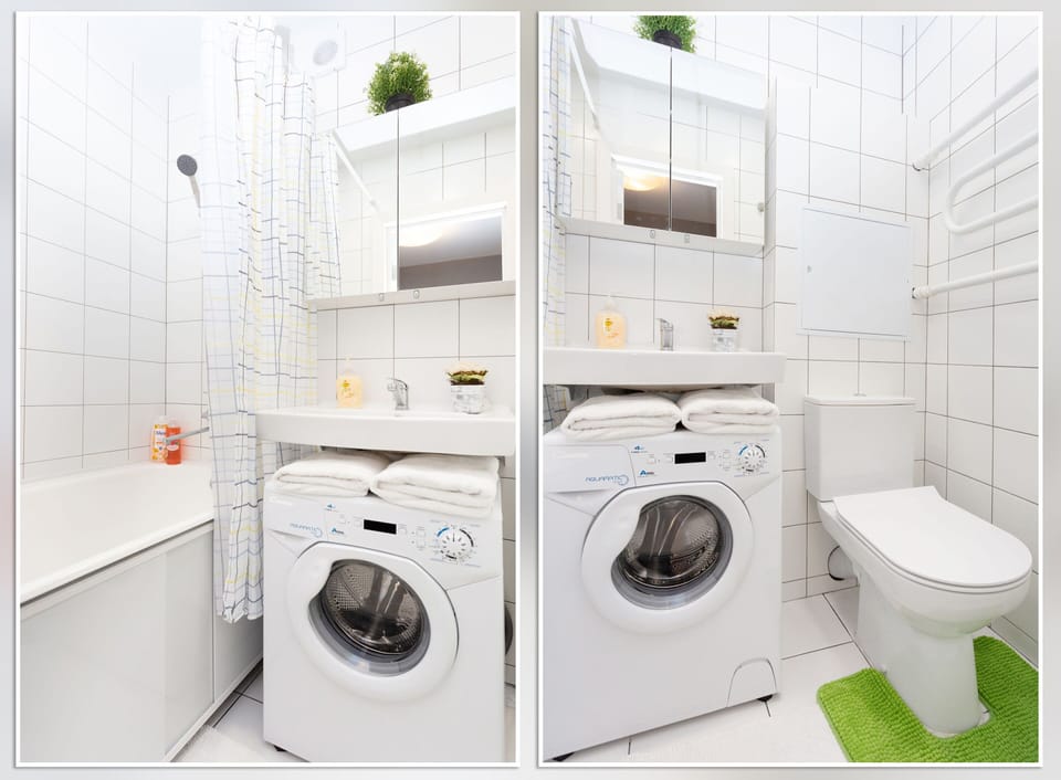 Basic Apartment | Bathroom | Combined shower/tub, hair dryer, towels, soap