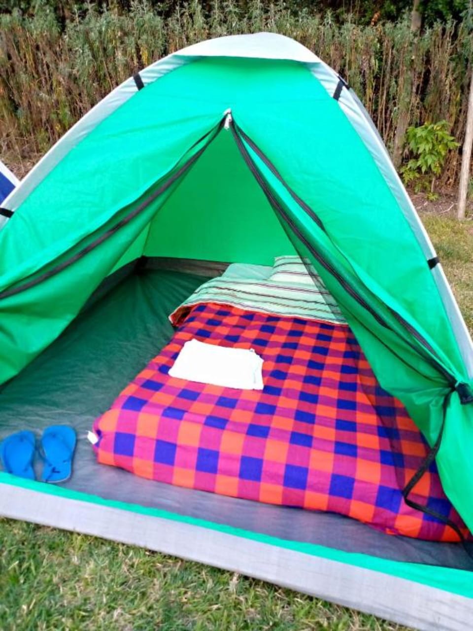 Comfort Tent