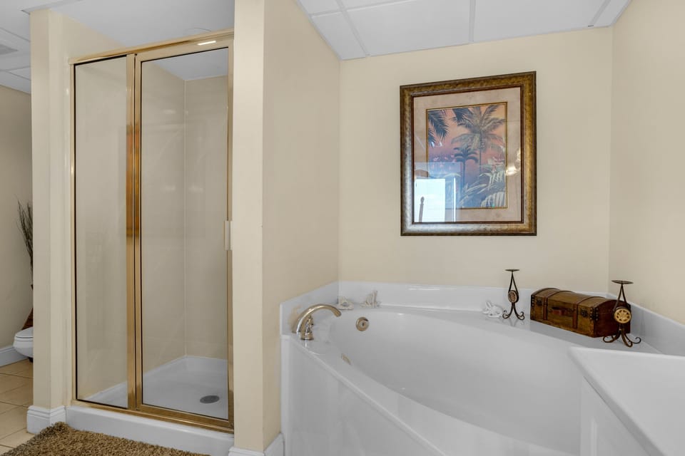 Master tub and shower